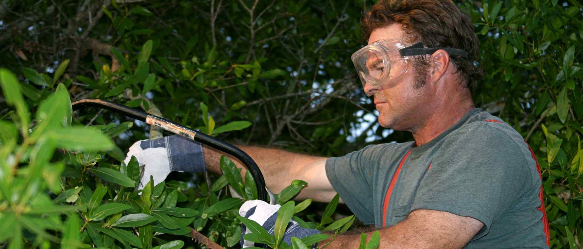 garden clearance HA9